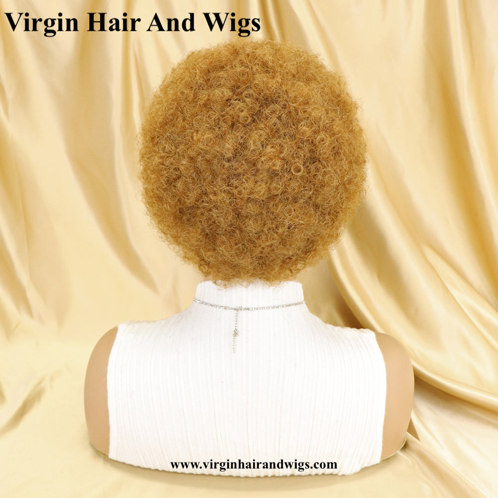 Short Afro Kinky Curly Wigs For Women Human Hair Remy Hair Human Hair Wigs Glue less Machine Made Wig