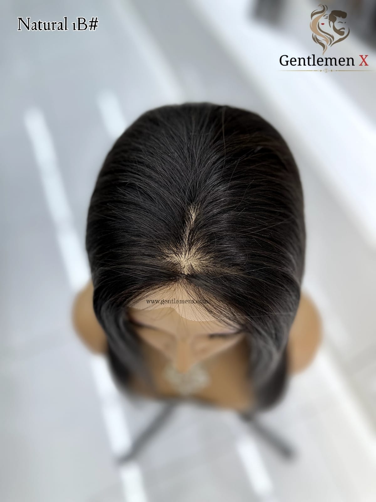Arnomeda 4X4 Silk Base 100% Remy Human Hair Lace wig