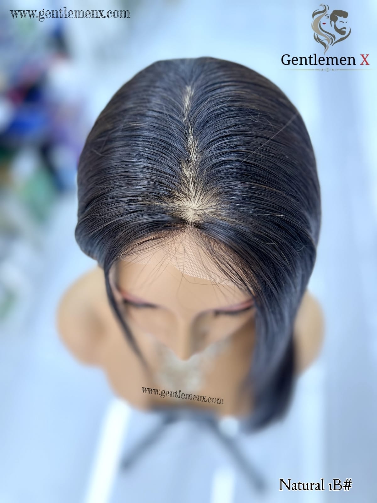 Arnomeda 4X4 Silk Base 100% Remy Human Hair Lace wig