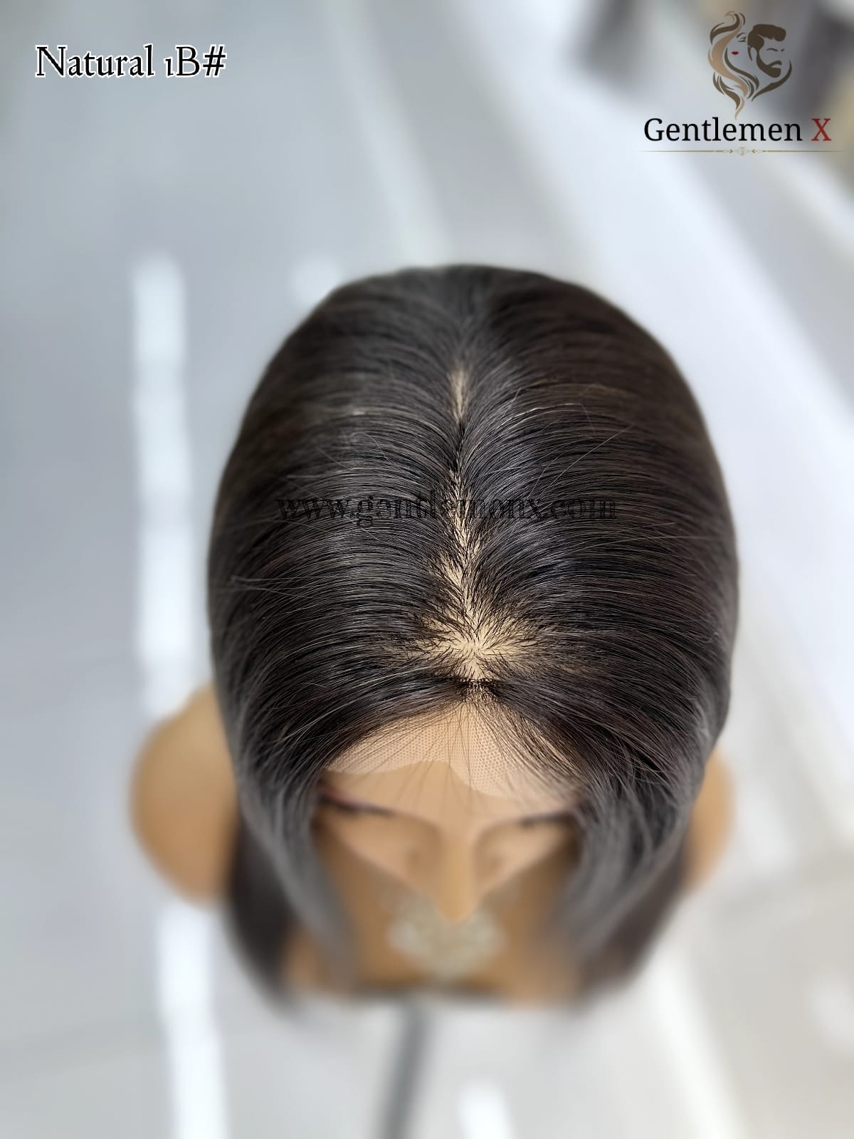 Arnomeda 4X4 Silk Base 100% Remy Human Hair Lace wig
