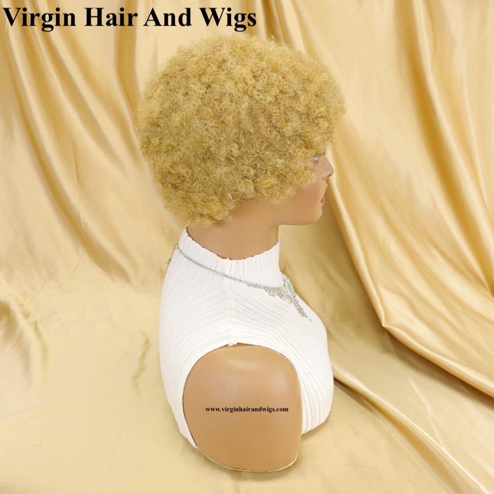 Short Afro Kinky Curly Wigs For Women Human Hair Remy Hair Human Hair Wigs Glue less Machine Made Wig