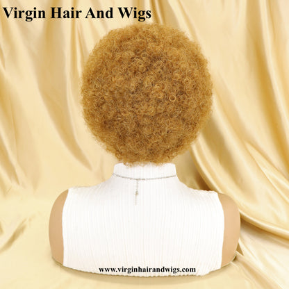 Short Afro Kinky Curly Wigs For Women Human Hair Remy Hair Human Hair Wigs Glue less Machine Made Wig