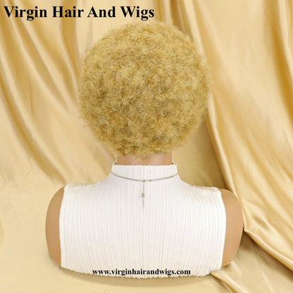 Short Afro Kinky Curly Wigs For Women Human Hair Remy Hair Human Hair Wigs Glue less Machine Made Wig